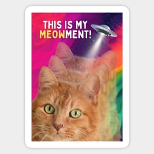 This is My Meowment Sticker